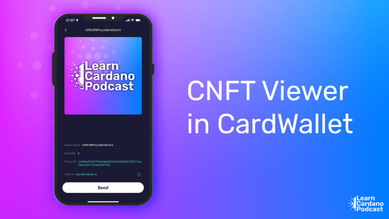 Cardano NFT Wallet Viewer