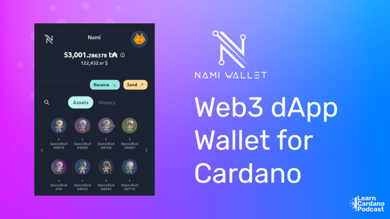 Nami Wallet, a Web3 Cardano Wallet