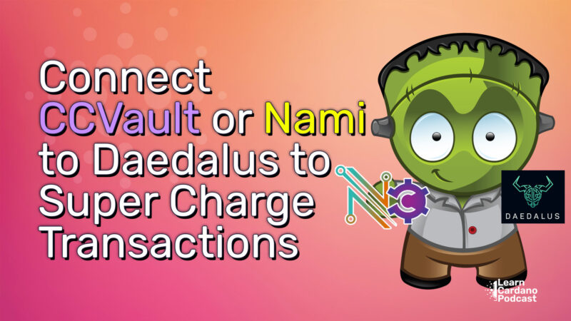 Connect CCVault or Nami Wallet to Daedalus to speed up transactions